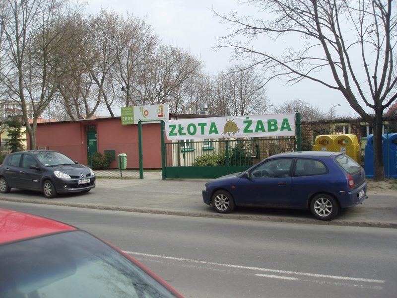 zlota_2013-14_zaba_ii_etap_09.jpg