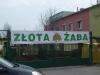 zlota_2013-14_zaba_ii_etap_10_t1.jpg