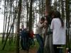 s7307918_t1.jpg