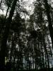 s7307934_t1.jpg