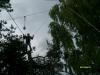 s7308095_t1_1.jpg