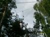 s7308100_t1.jpg